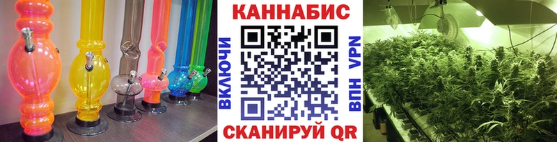 Где купить Ишим COCAIN Гашиш Марихуана