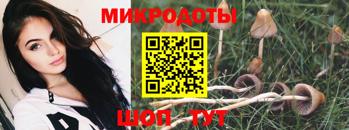 Галлюциногенные грибы прущие грибы  Вход с VPN  Ишим 